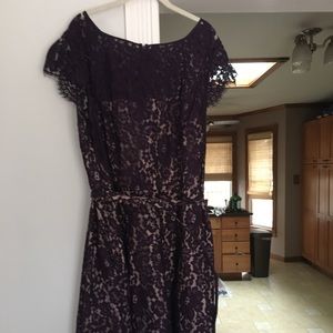 Eliza j purple Lace fit and flair dress